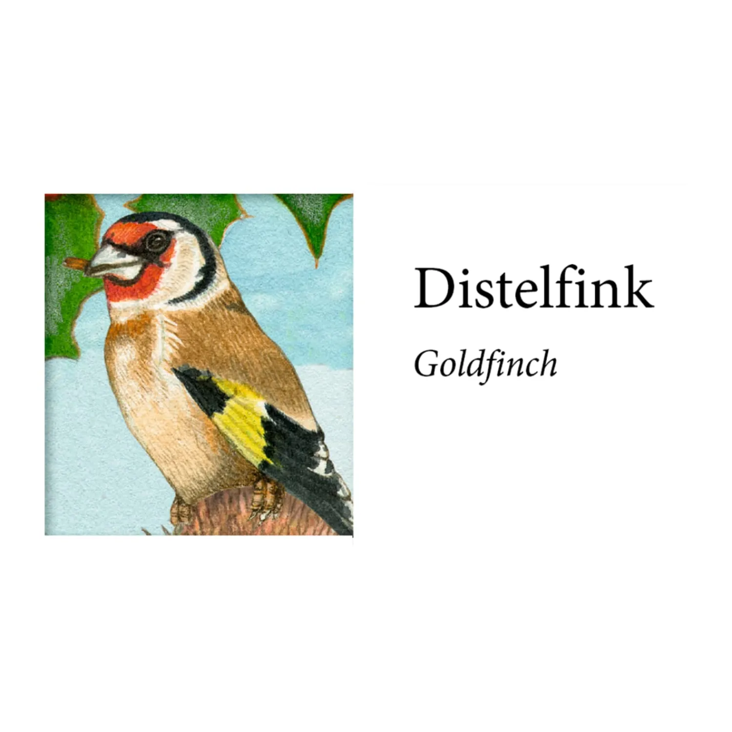 Adventsdeko & Kalender-Sound-Adventskalender "Unsere Vögel im Winter"