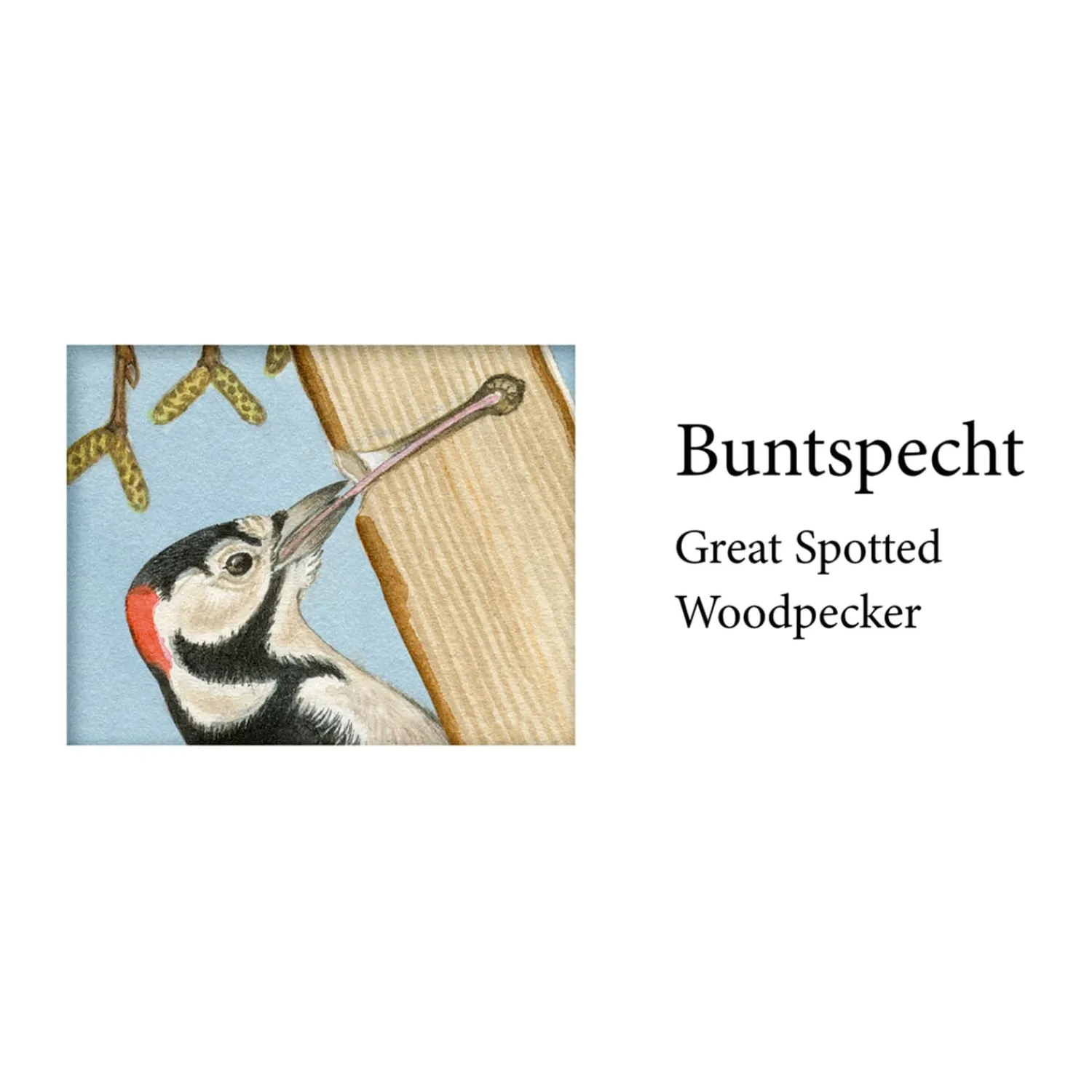 Adventsdeko & Kalender-Sound-Adventskalender "Unsere Vögel im Winter"