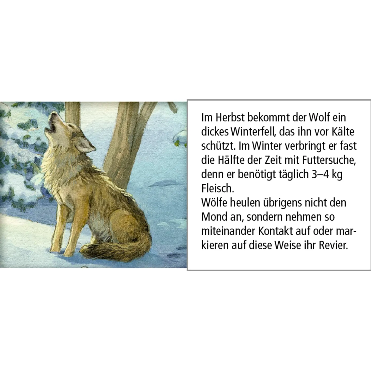 Adventsdeko & Kalender-Adventskalender "Tiere im Winterwald"